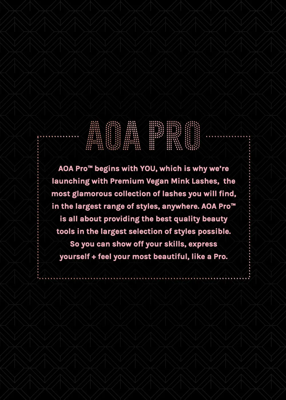 AOA Pro Press-On Nails: French Long