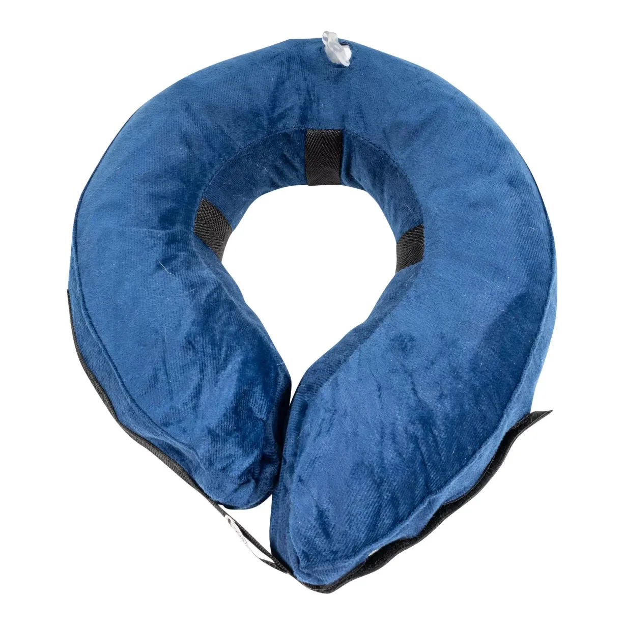 Calm Paws Inflatable Protective Dog Collar